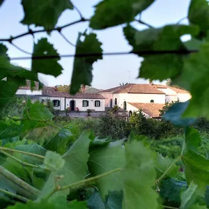 Etna Piedimonte Etneo